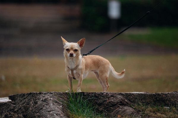 Comment préparer sa première visite prénatale